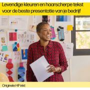 Voorbeeld afbeelding 3