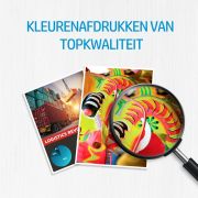 Voorbeeld afbeelding 10