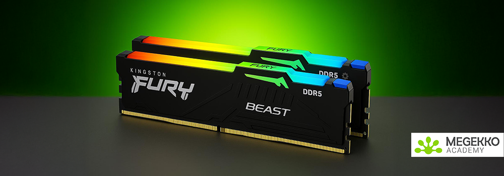 Top 5 NVIDIA videokaarten  | Megekko Academy